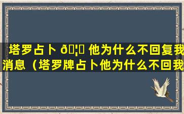 塔罗占卜 🦈 他为什么不回复我消息（塔罗牌占卜他为什么不回我信息）